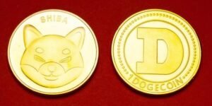 koin meme crypto dogecoin dan shiba inu