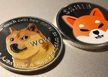 shib dan doge menjadi koin micin meme terbaik