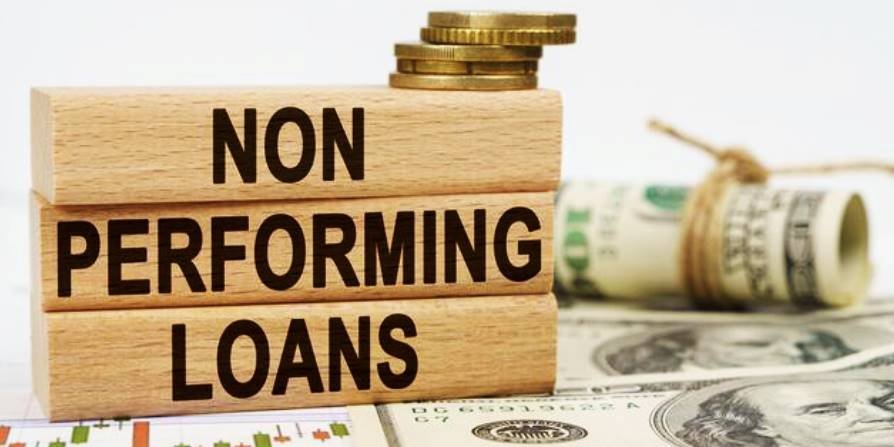 Non performing loan. Non performing loan ratio.