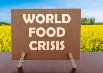 Menguraikan Dampak Krisis Pangan Terhadap Pasar Saham