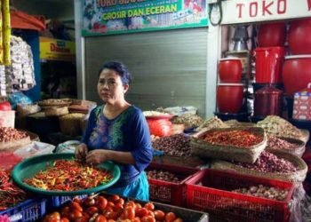 Belanja Ibu Rumah Tangga: Menu Masakan Seminggu Rp100 Ribu