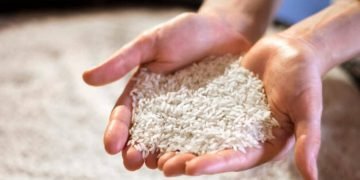 Memahami Harga Eceran Tertinggi (HET) Beras dan Dampaknya