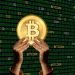 ETF Bitcoin Cetak Rekor Positif – Berita Crypto Hari Ini (15/2/2024)