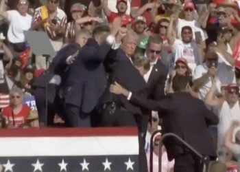 Elon Musk Dukung Trump Setelah Insiden Penembakan Saat Kampanye Pemilu